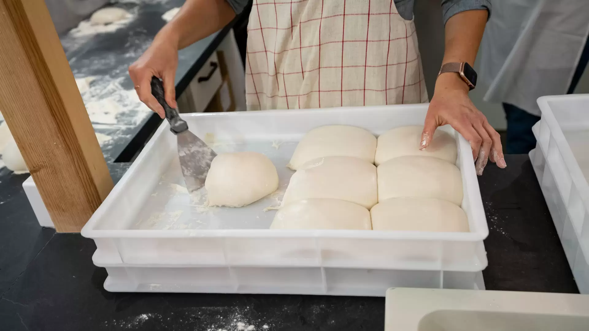 Dough Boxes and Cover