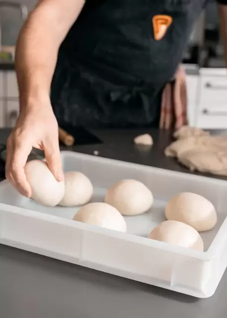 Dough Boxes and Cover